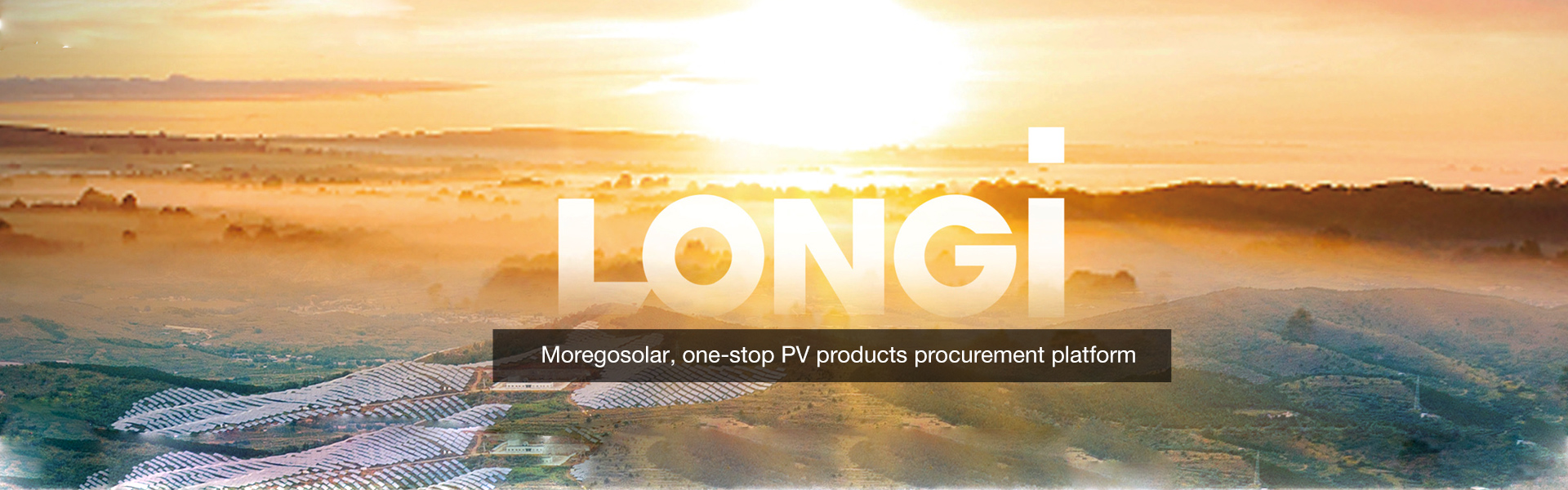 Longi-Solarmodule