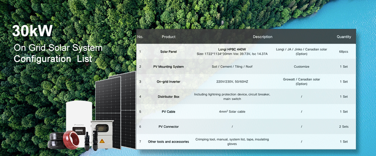 30 kW auf der Konfigurationsliste für Grid -Solarsysteme